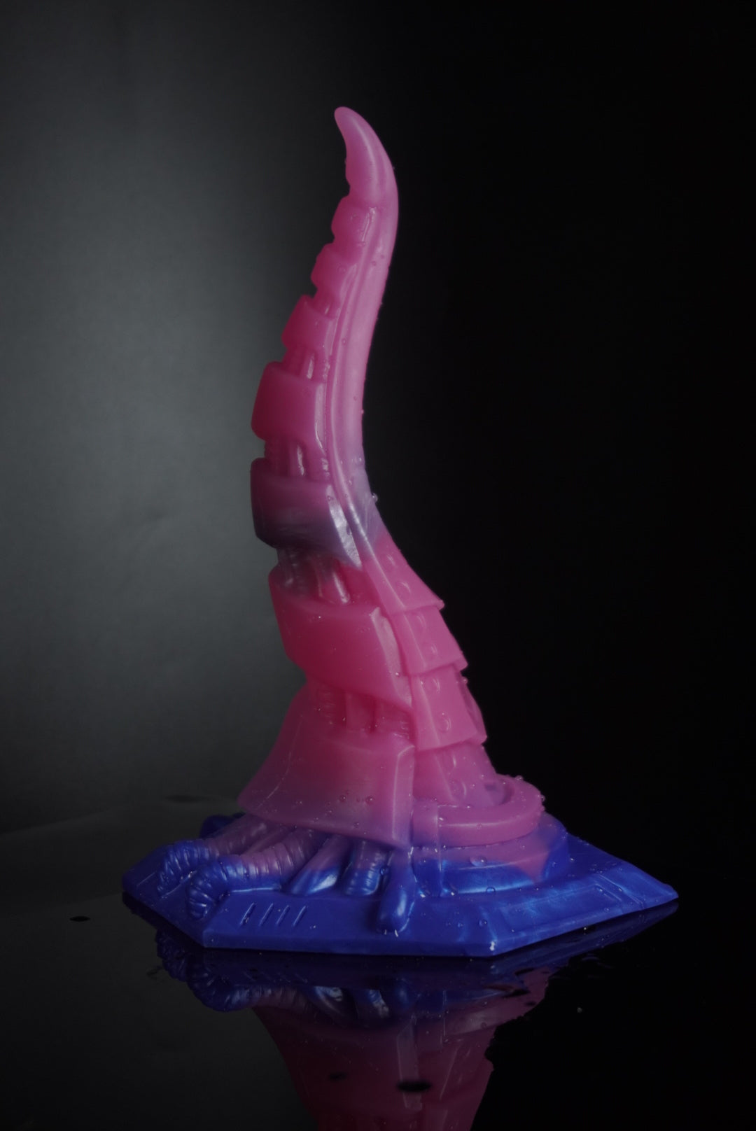 CEPHALLUS - Medium (00-50) Bi Pride - Magic Within