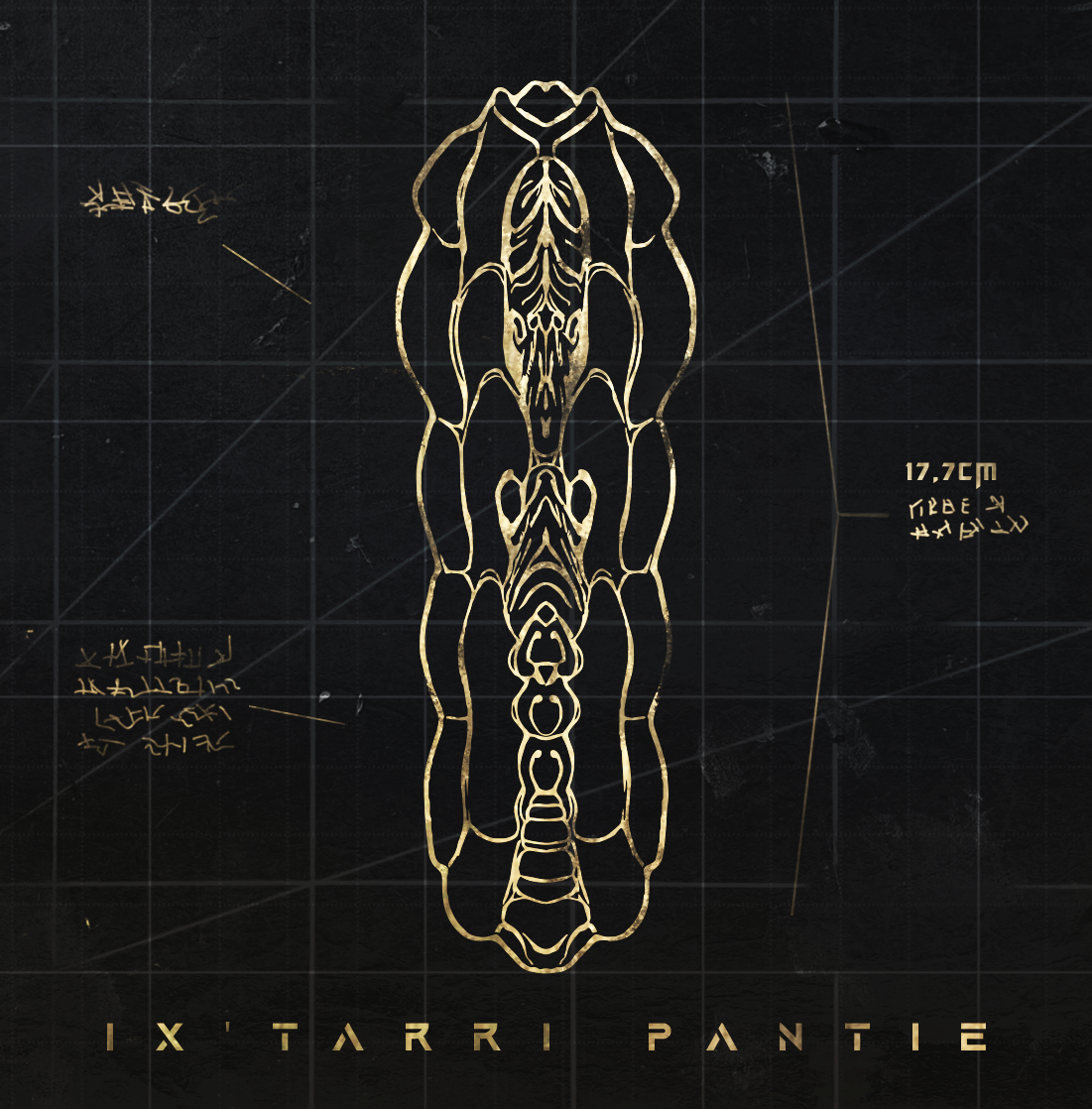 IX'TARRI Pantie - Single colour - Magic Within